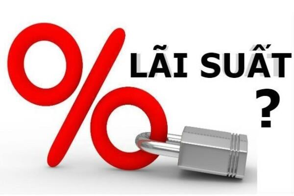 Lãi suất vay tiền tại 9Plus dao động trong khoảng từ 16-20%/năm